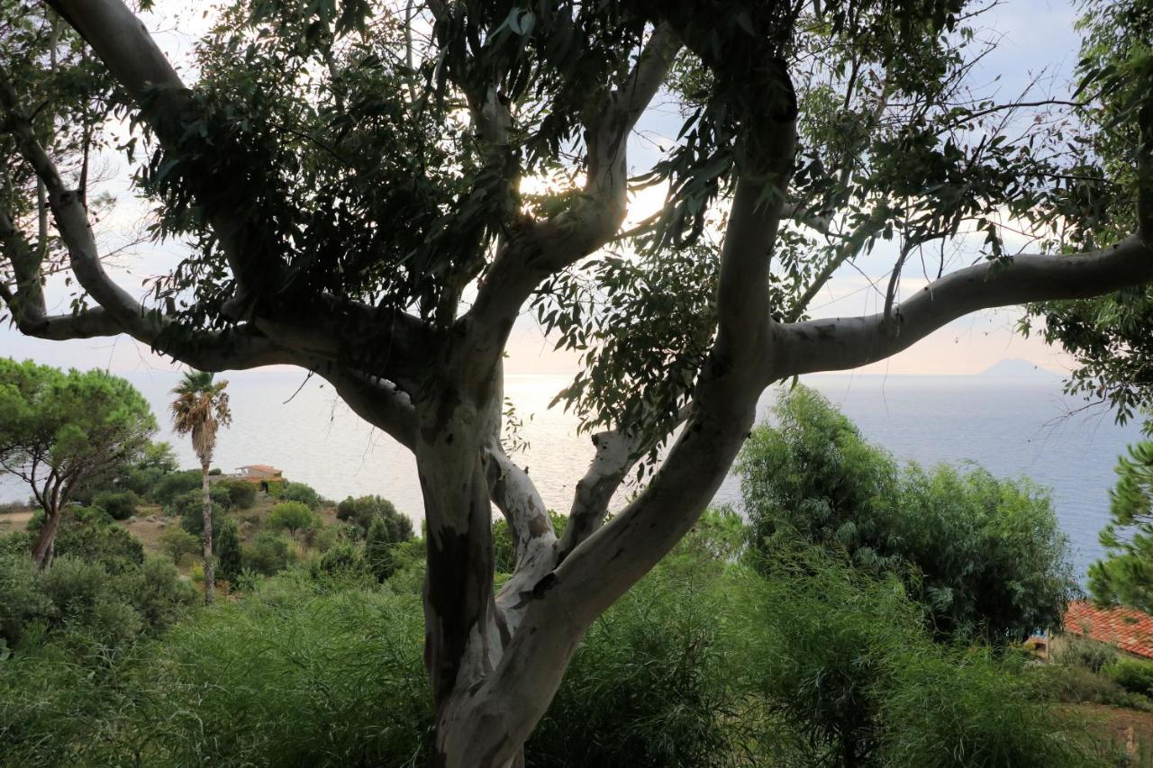 Case Di Berto Capo Vaticano Exteriör bild